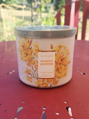 White Barn Mango Waters Candle